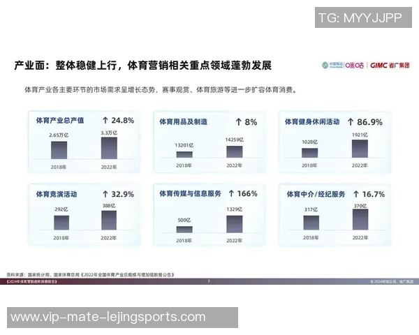海南体育器材批发市场分析与发展趋势探讨助力体育产业升级